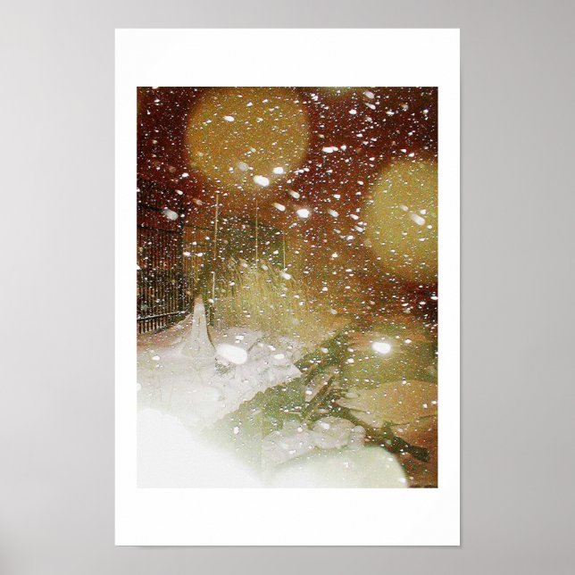 Póster Wind in the Chilly Willies (Frente)