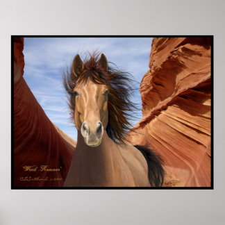 Póster "Wind Runner", Poster de Stallion salvaje impreso
