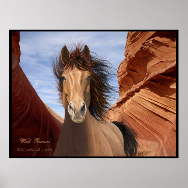 Póster "Wind Runner", Poster de Stallion salvaje impreso (Frente)