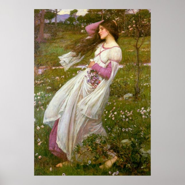 Póster Windflowers (Frente)