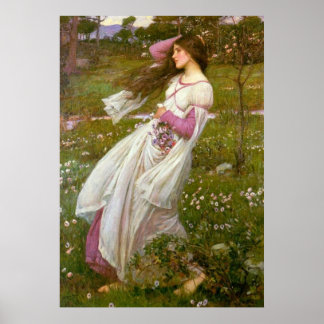 Póster Windflowers