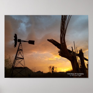 Póster Windmill Saguaro Cactus Skeleton Arizona Sunset