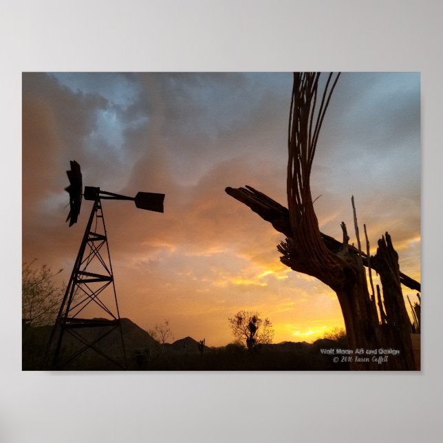 Póster Windmill Saguaro Cactus Skeleton Arizona Sunset (Frente)