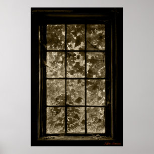 Póster Window Ivy Sepia, Jeffrey Sinnock