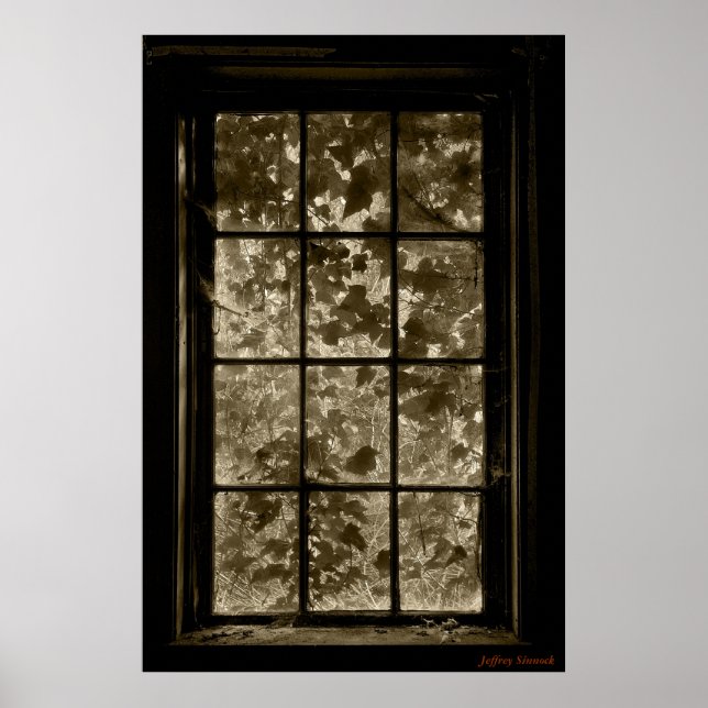 Póster Window Ivy Sepia, Jeffrey Sinnock (Frente)
