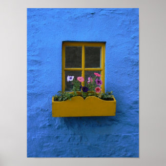 Póster Windowbox irlandés