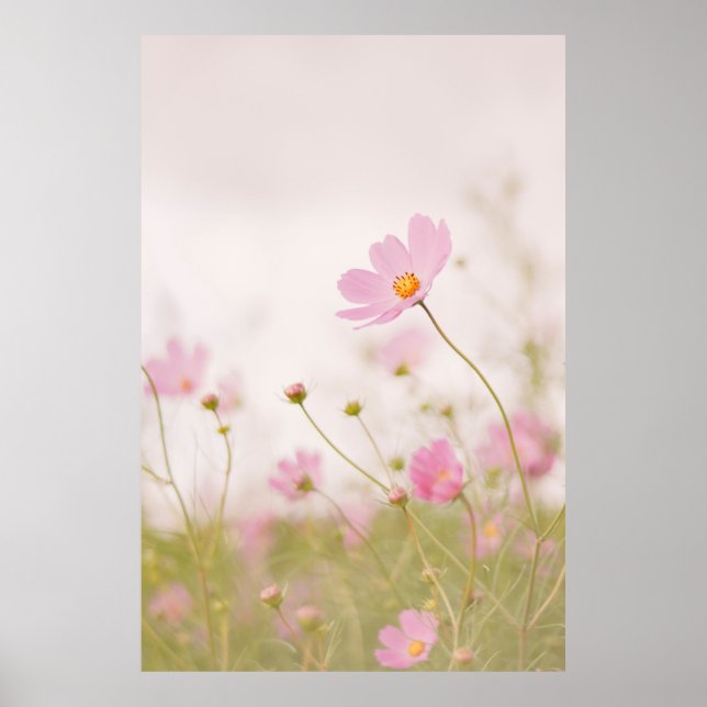 PÓSTER WINDY DAY (Frente)