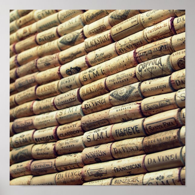 Póster WIne Lover (Frente)