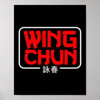 Wing Chun Artes Marciales Kung Fu