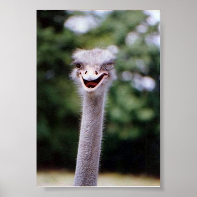 Póster Wink Wink (Frente)