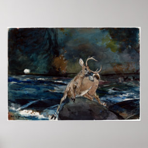 Póster Winslow Homer A Good Shot, Adirondacks