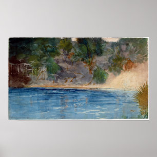 Póster Winslow Homer Blue Spring, Florida