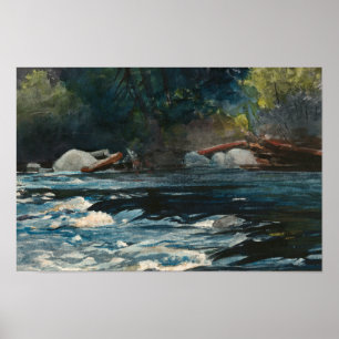 Póster Winslow Homer - Los rápidos, río Hudson