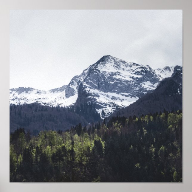 Póster Winter and Spring - green trees and snowy mountain (Frente)
