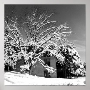 Póster Winter Blast B+W