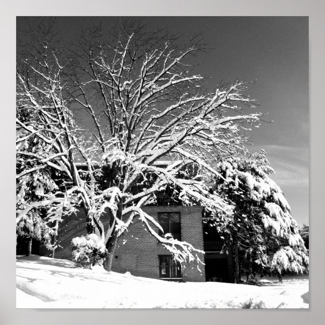 Póster Winter Blast B+W (Frente)