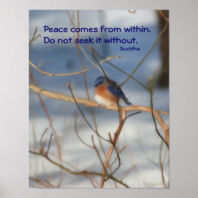 Póster Winter Bluebird Buddha Cita Inspiradora (Frente)