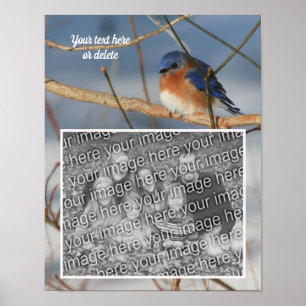 Póster Winter Bluebird Personalizado Crea Tu Propia Foto