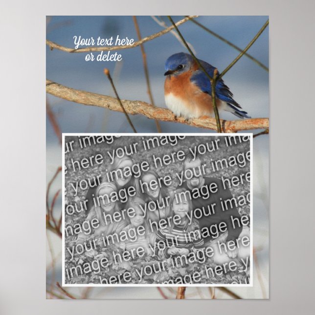 Póster Winter Bluebird Personalizado Crea Tu Propia Foto (Frente)