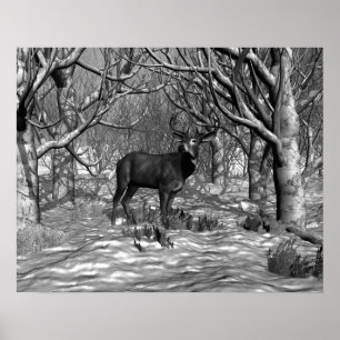 Póster Winter Buck B/W