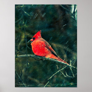 Póster Winter Cardinal in Snowstorm - Enhanced