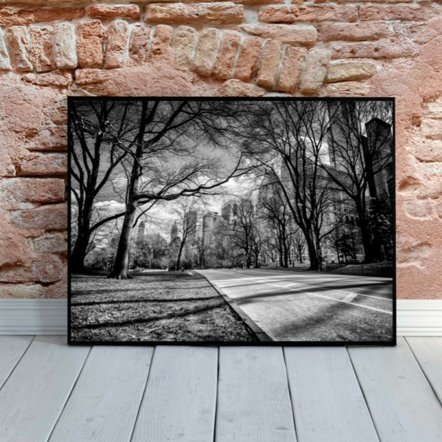 Póster Winter Central Park New York City Black and White (Subido por el creador)