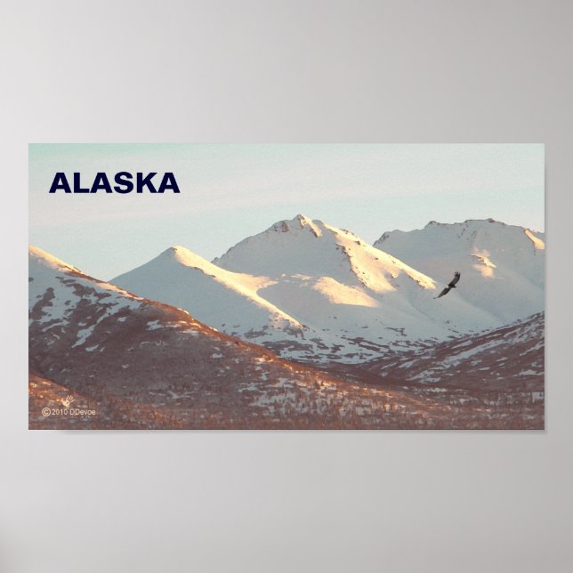 Póster Winter Eagle (Frente)