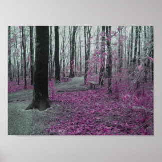 Póster Winter Forest