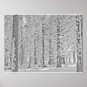 Póster winter forest