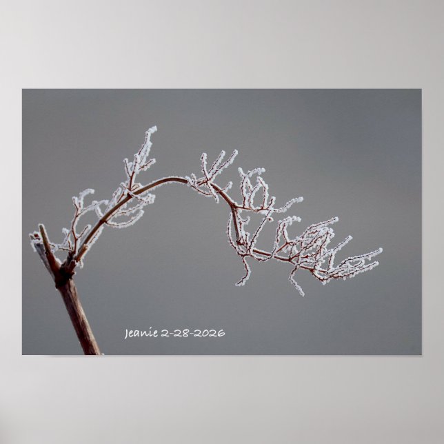 Póster Winter Frosted branch (Frente)