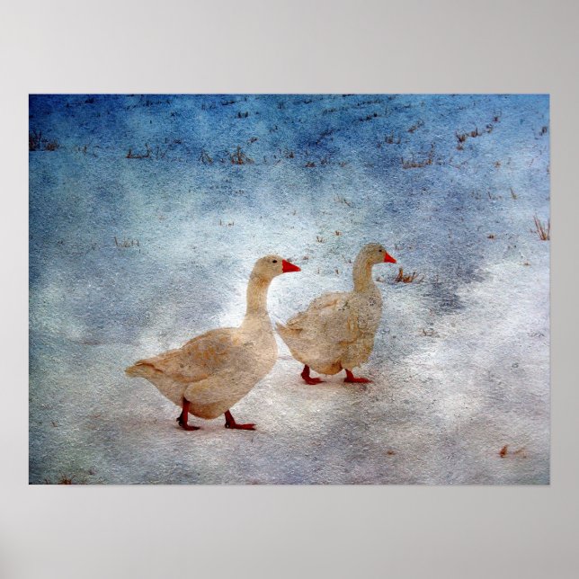 Póster Winter Geese (Frente)
