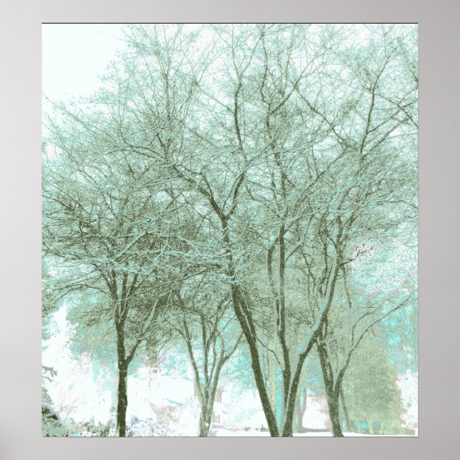 Póster Winter Hues (Frente)