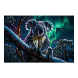 Póster Winter Koala y Southern Lights