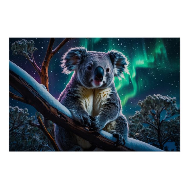 Póster Winter Koala y Southern Lights (Anverso)