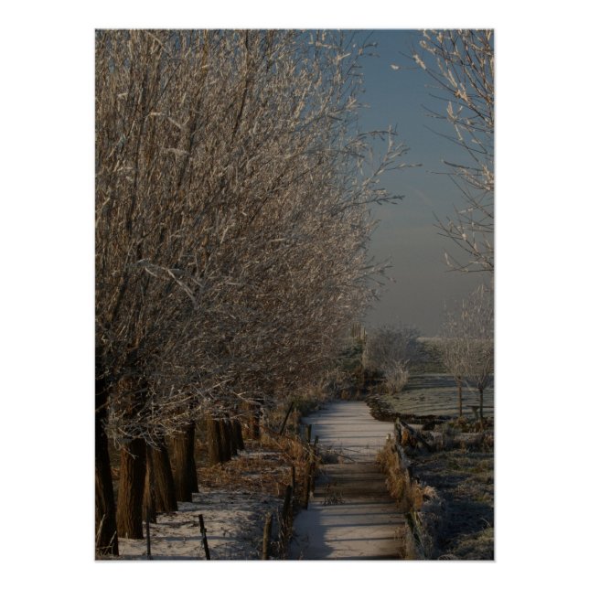 Póster Winter landscape  (Anverso)