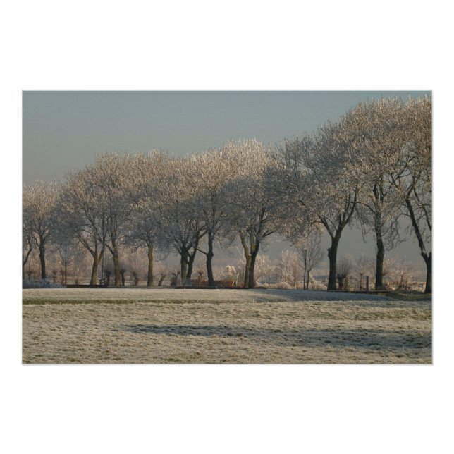 Póster Winter landscape  (Anverso)