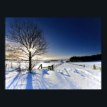 Póster Winter Landscape<br><div class="desc">Winter Landscape after heavy snowfall taken into sun to create sunstar on tree.</div>