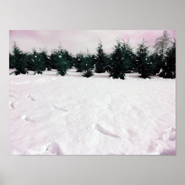 Póster Winter landscape with larches in the snow  (Frente)