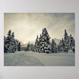 Póster Winter Magic