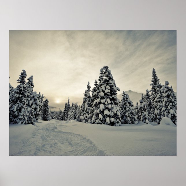 Póster Winter Magic (Frente)