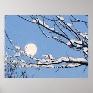 Póster Winter Moon