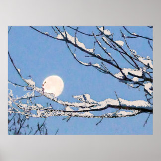 Póster Winter Moon