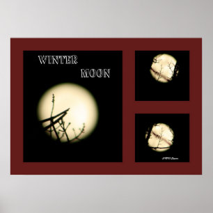 Póster Winter Moon Collage