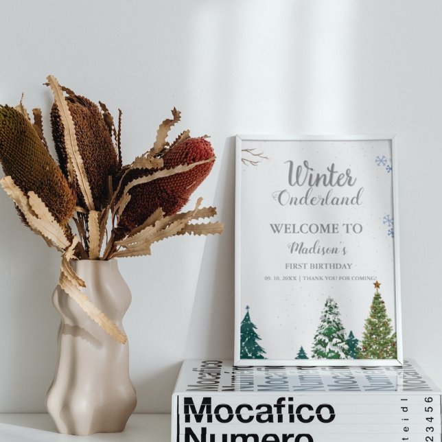 Póster WInter Navidades de Onderland Bienvenidos a la fie (Subido por el creador)