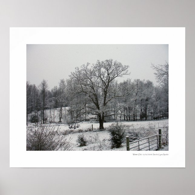 Póster Winter Oak (Frente)
