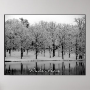 Póster Winter Peace