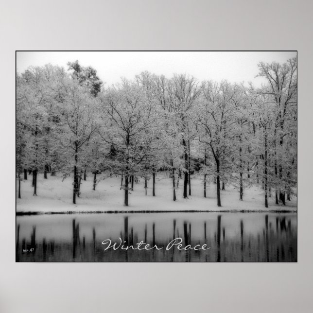 Póster Winter Peace (Frente)