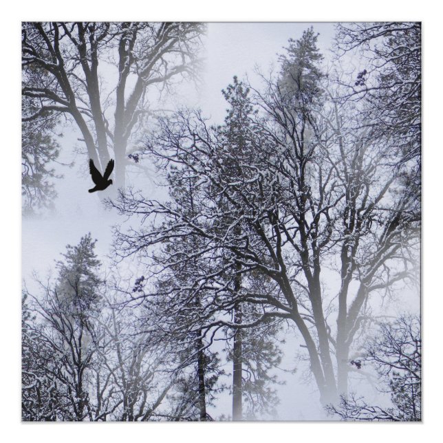 Póster Winter Raven. (Anverso)