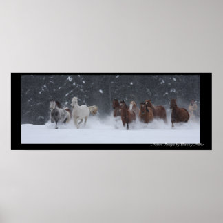 Póster Winter Round Up