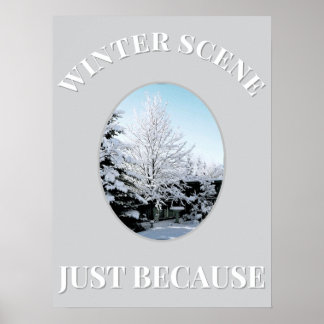 Póster winter scene Poster
